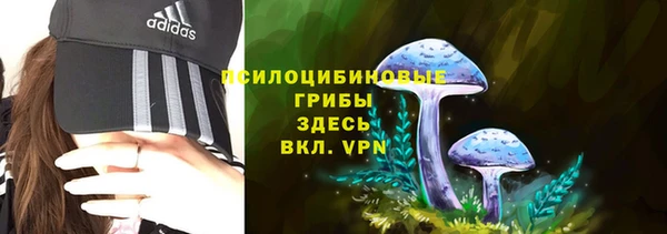 прущие грибы Арсеньев