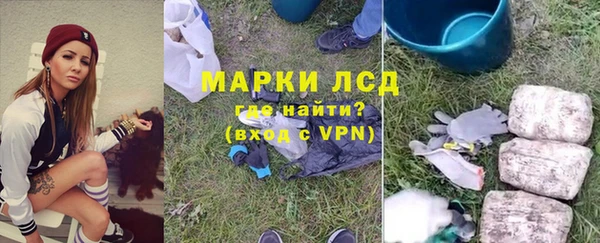 гашик Аркадак