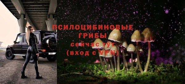 прущие грибы Арсеньев