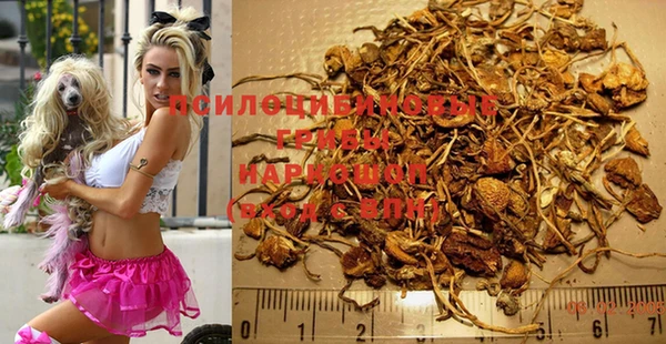 spice Алексеевка