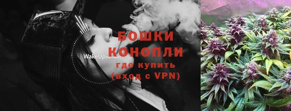 прущие грибы Арсеньев